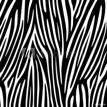 Zebra Texture Vector