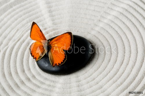 Zen stone with butterfly - 901143142