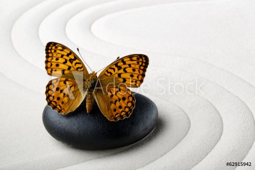 Zen stone with butterfly - 901143144