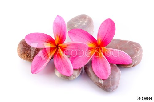 zen stones with frangipani - 901140923