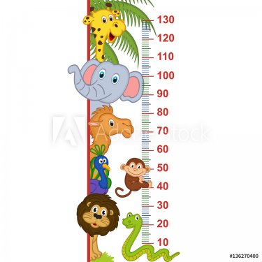 zoo animal height measure - vector illustration, eps