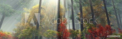 autumn forest in the morning in the fog. autumn trees in the fog.
 - 901152027