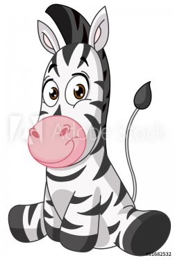 Baby zebra - 901141711