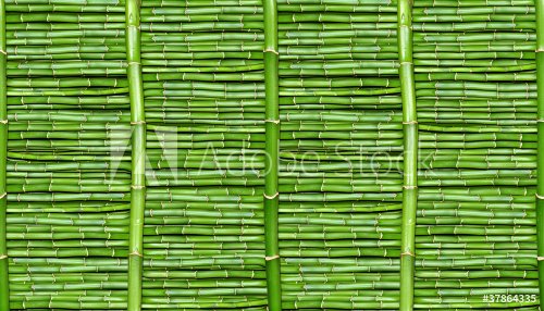 bamboo - wallpaper