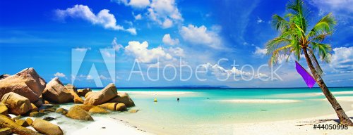 beautiful panorama of tropical beach