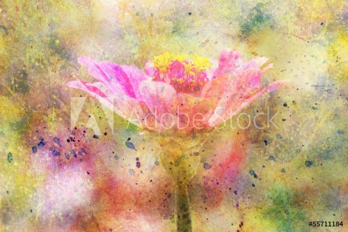 beautiful pink flower and watercolor splatter - 901143044