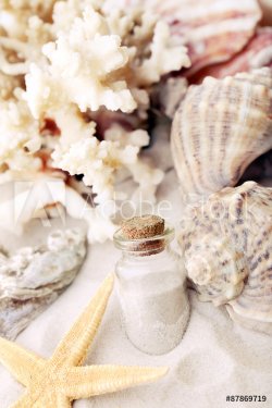 Beautiful seashells on sand background - 901145146