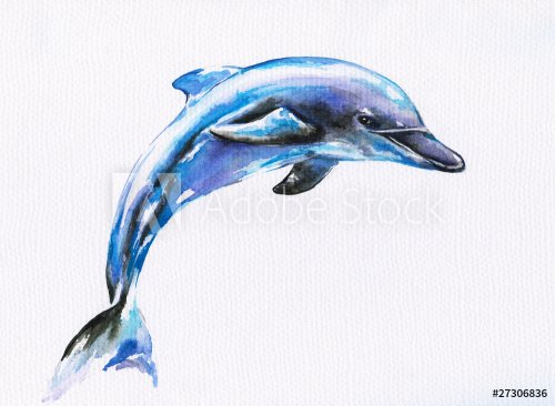 Blue dolphin - 901153798