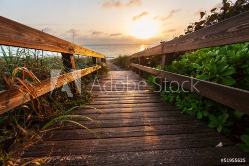 Boardwalk on beach - 901139488