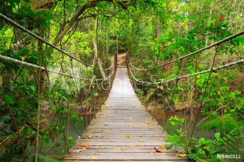 Bridge to the jungle,Khao Yai national park,Thailand