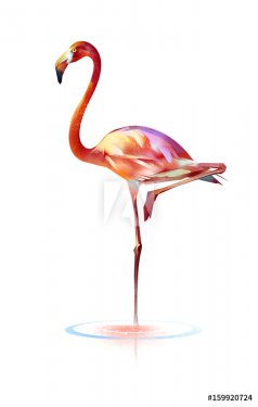 bright painted bird flamingos on a white background - 901153504