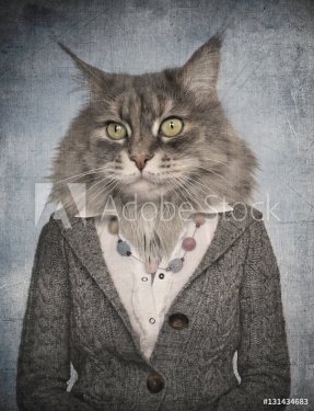 Cat in clothes. Concept graphic in vintage style.