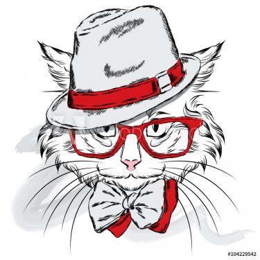 Cat vector. Cartoon cat. Cute cat in the clothes. Hip-hop. Cat in a cap and glasses. Hipster. Postcard with the cat.