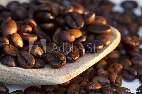 Coffee beans on wooden spoon and a white background - 900572930
