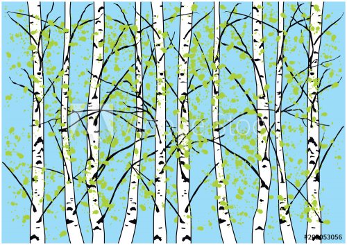 Color vector illustration of spring birch trees and blue sky. Vestor birch forest with fresh green leaves and blue sky.