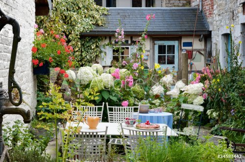 Cozy vintage backyard full of beautiful flowers - 901140027