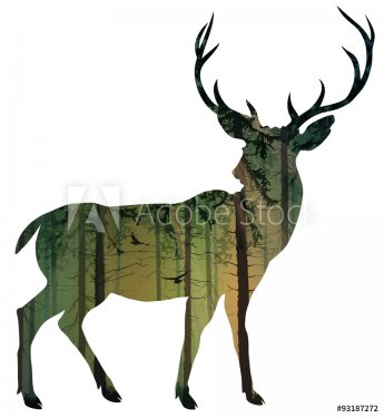 deer - 901147112
