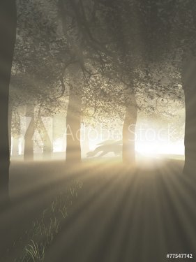 Dragon in a Misty Forest with Rays of Bright Sunlight - 901146560