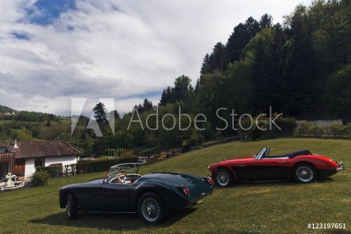 expensive vintage sports cars on the background of nature - 901153288