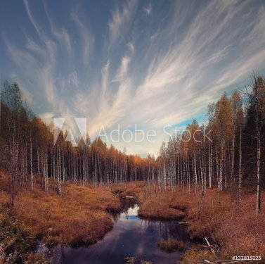 Fall forest landscape river amazing autumn background - 901151374