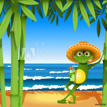 frog on the beach - 900855098