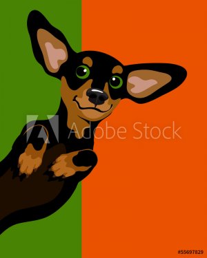 Funny illustration of a dachshund wiener dog