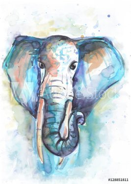 hand drawn watercolor elephant. watercolour illustration