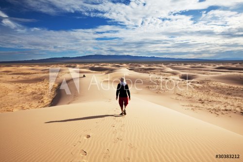 Hike in desert - 900128511