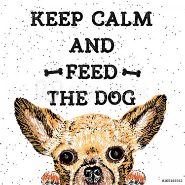 Keep calm and feed the dog. Sign with cute smiling but starving dog. Motivati... - 901146927
