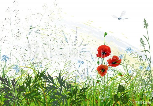 Landscape with wild grass and flowers and flying dragonfly