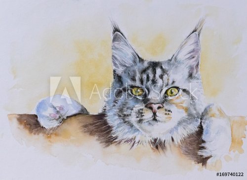 Maine Coon portrait.Picture created with watercolors.