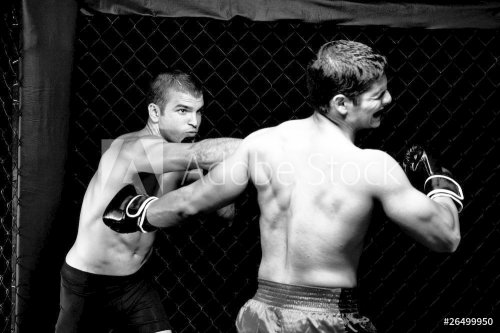 MMA - Mixed martial artists fighting - punching - 900463794