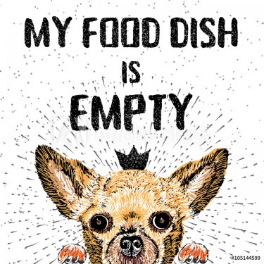 My food dish is empty. Vector illustration with hand drawn lettering and dog on texture background. Inscriptions for dog lovers. Brush lettering. Custom typographic. calligraphy. Demanding phrase.