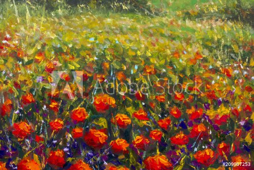 Oil painting of a poppy field. Summer flowers red field. Modern art - impress... - 901151892