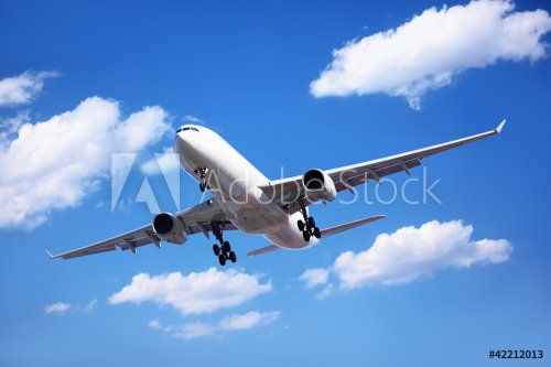 Passenger Airliner Arrival