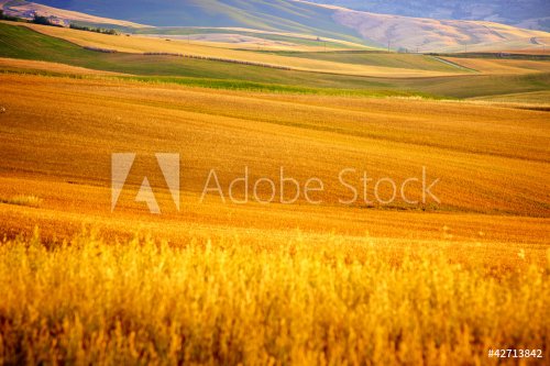 Scenic view of Tuscany landscape, Italy .  Nature background
