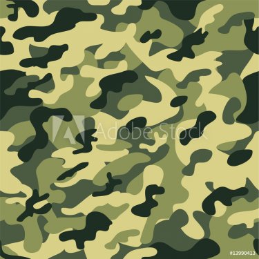 Seamless camouflage pattern - 900459119