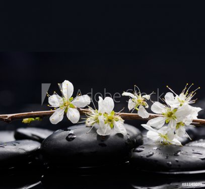 Set of, sakura flowers with therapy stones  - 901145039