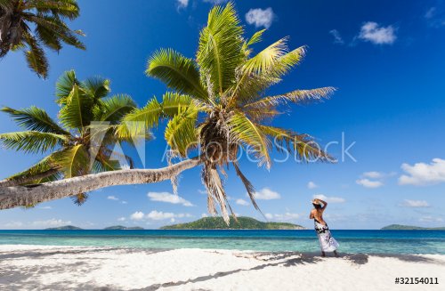 seychelles plage cocotier