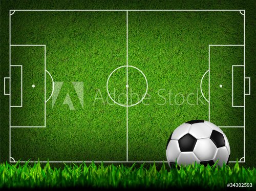 soccer football on grass field - 900498444