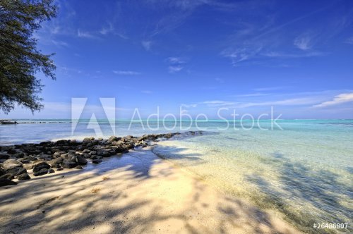 Stony pier on a beach of Papetoai, Moorea - 901137847