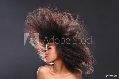 Stunning Portrait of an African American Black Woman With Big Ha