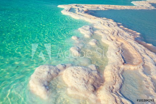 Texture of Dead sea. Salt sea shore - 901149123
