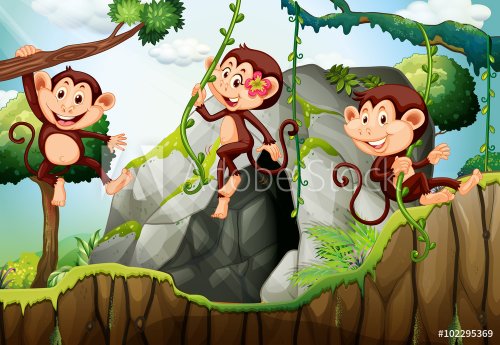 Three monkeys hanging on the branch - 901148415