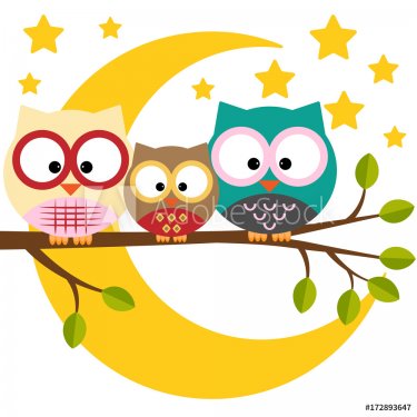 Three owls on a branch on a night moon sky background - 901151746