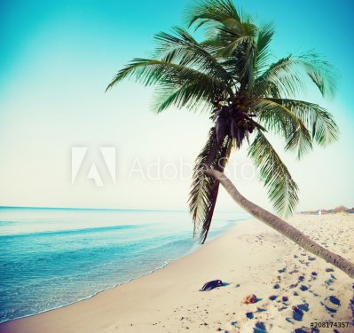 Tropical beach with coconut tree and clean sea - 901151043
