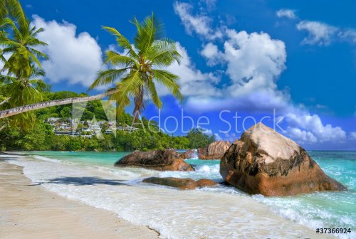 tropical holidays - Seychelles - 900590421