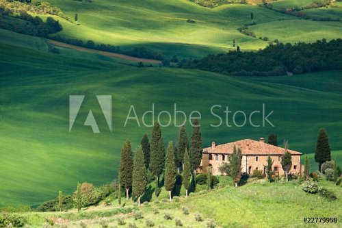 Tuscany landscape - belvedere - 900064290