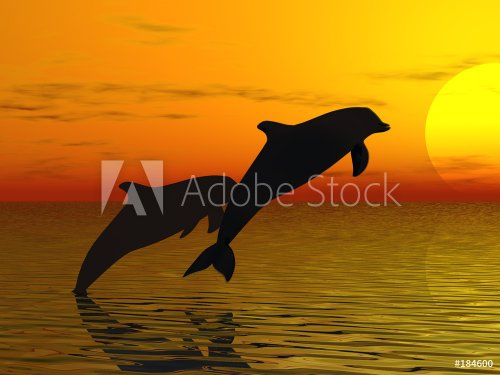 two dolphins swimming - 900458912