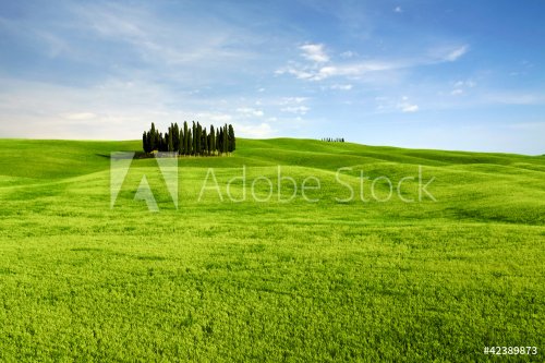 Typical landscape in Tuscany, Italy